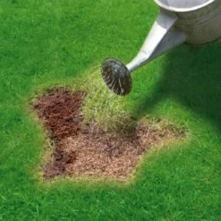 Miracle-Gro Patch Magic Grass Seed, Feed & Coir 1.1kg -B&M 245940 miracle gro patch magic grass seed feed and coir 3