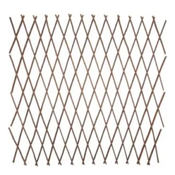 Expanding Willow Trellis