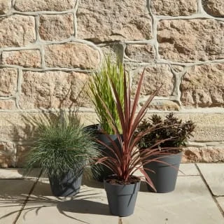 B&M Soho Pot Planter - Charcoal 28cm 4 B&M Soho Pot Planter - Charcoal 28cm - Image 4