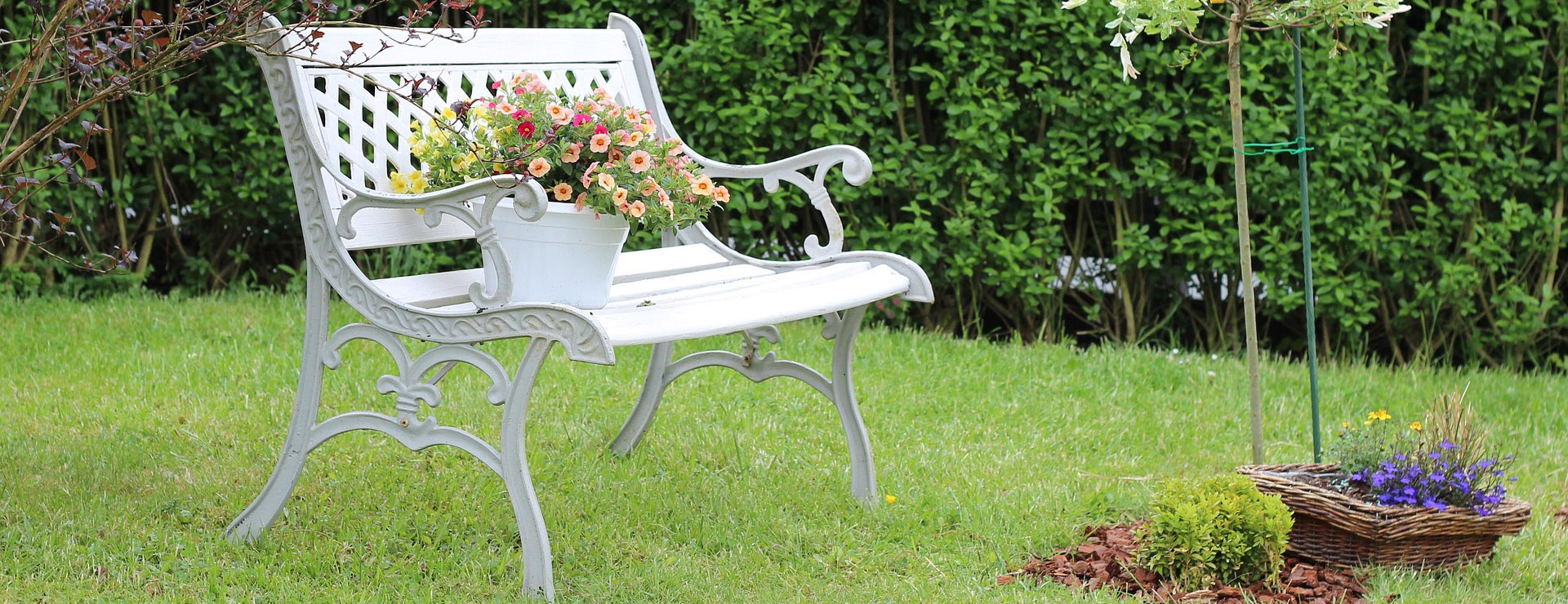 B&M 3 B&M -B&M garden bench 2918776 1920